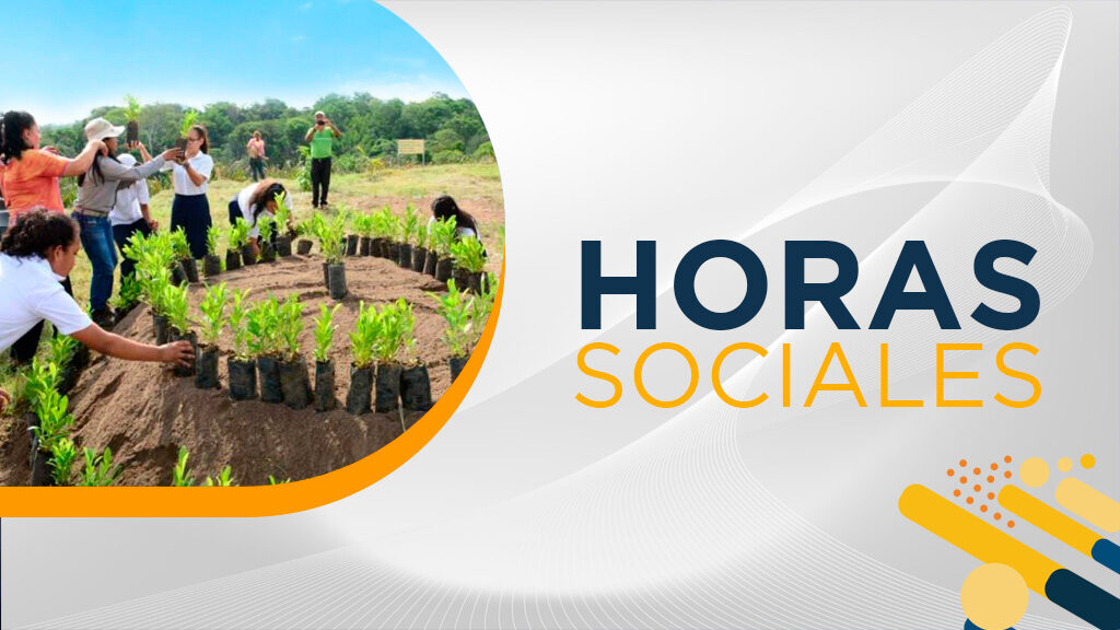 Horas Sociales