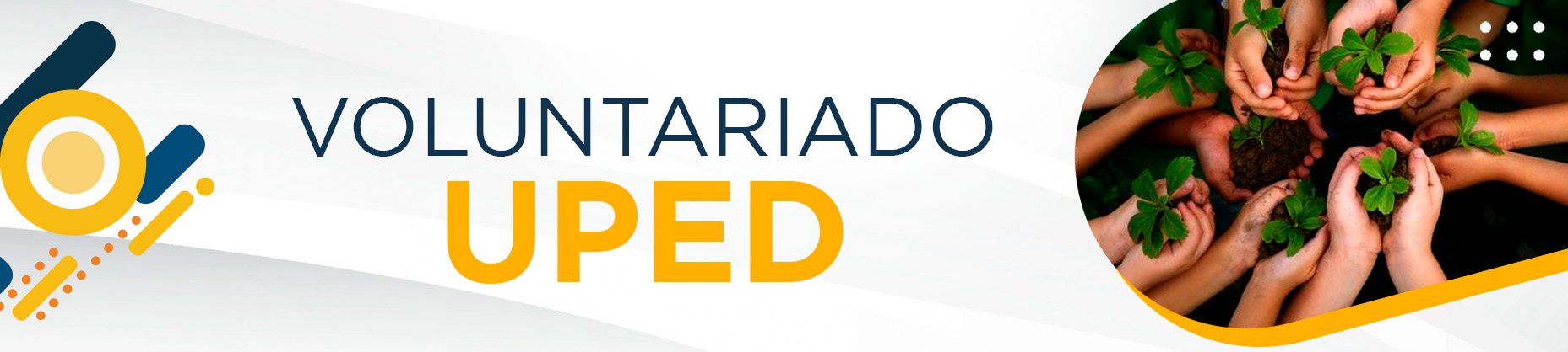 Voluntariado